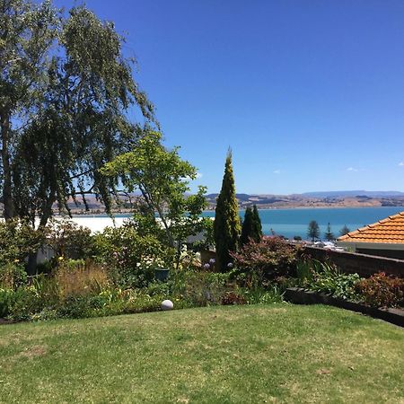 Jacaranda Lodge - Napier Hill Holiday Home Exterior foto